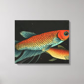 Wilde Betta paar Canvas Afdruk (Voorkant)