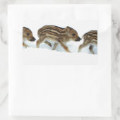 wilde biggen in de sneeuw , Duitsland Rechthoekige Sticker (Tas)