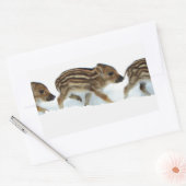 wilde biggen in de sneeuw , Duitsland Rechthoekige Sticker (Envelop)