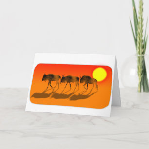 Wilde bijen in de sunset Birthday Card Kaart