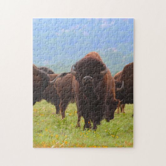 Wilde Bizons Oklahoma. Legpuzzel (Verticaal)