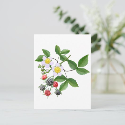 Wilde Blackberries Briefkaart (Staand voorkant)