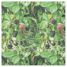 Wilde Blackberries Summer Cottage Decor