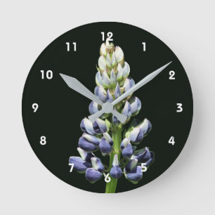 Wilde Blauwe Lupine Bloem Ronde Klok
