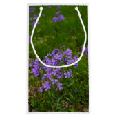 Wilde Blauwe Phlox Klein Cadeauzakje (Achterkant)
