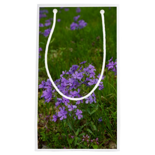 Wilde Blauwe Phlox Klein Cadeauzakje (Voorkant)
