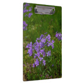Wilde Blauwe Phlox Klembord (Rechts)