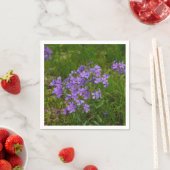 Wilde Blauwe Phlox Servet (Insitu)