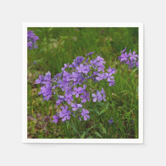 Wilde Blauwe Phlox Servet (Voorkant)