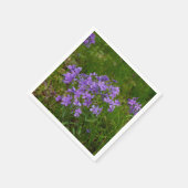 Wilde Blauwe Phlox Servet (Hoek)
