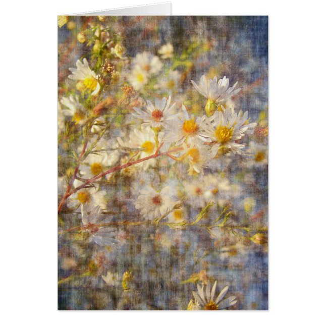  wilde bloem (Voorkant)