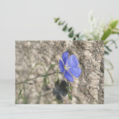 Wilde bloem (Staand voorkant)