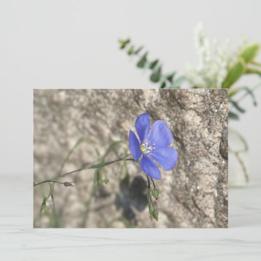 Wilde bloem (Staand voorkant)