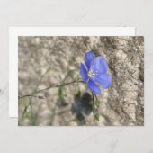 Wilde bloem (Voorkant / Achterkant)