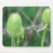 Wilde bloem 2 muismat (Voorkant)