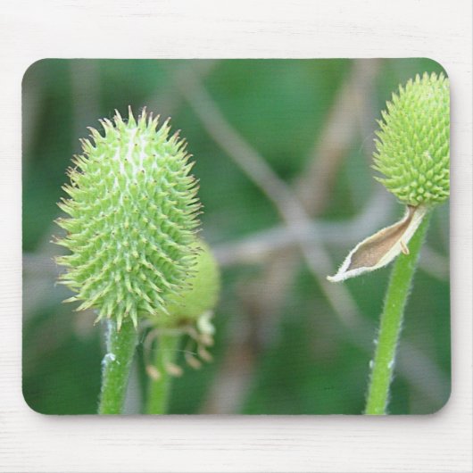 Wilde bloem 2 muismat (Voorkant)