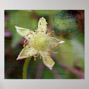 Wilde bloem 4 poster