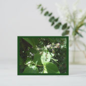 Wilde bloem briefkaart (Staand voorkant)