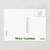 Wilde bloem briefkaart (Achterkant)