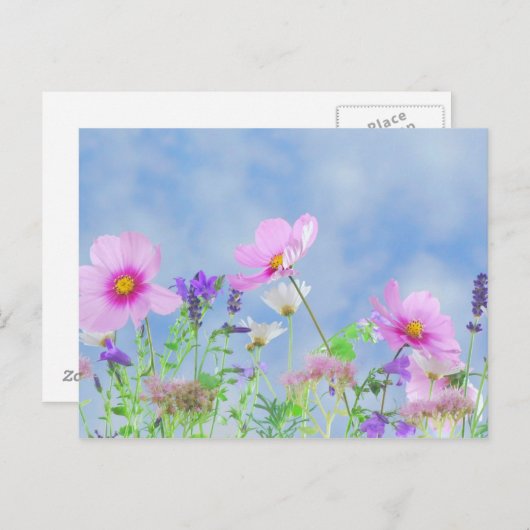 Wilde bloem briefkaart (Voorkant / Achterkant)