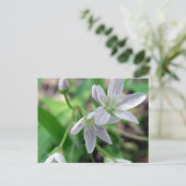 Wilde bloem briefkaart (Staand voorkant)