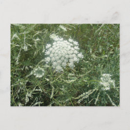 Wilde bloem briefkaart