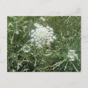 Wilde bloem briefkaart