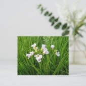 Wilde bloem briefkaart (Staand voorkant)