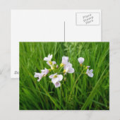 Wilde bloem briefkaart (Voorkant / Achterkant)