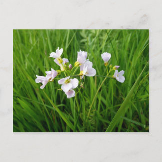 Wilde bloem briefkaart