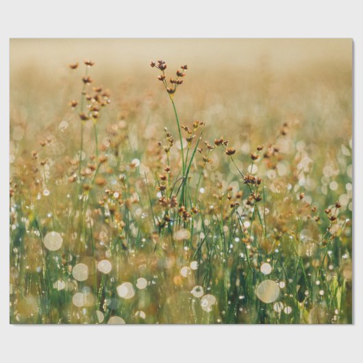 Wilde bloem cadeaupapier (Vlak)