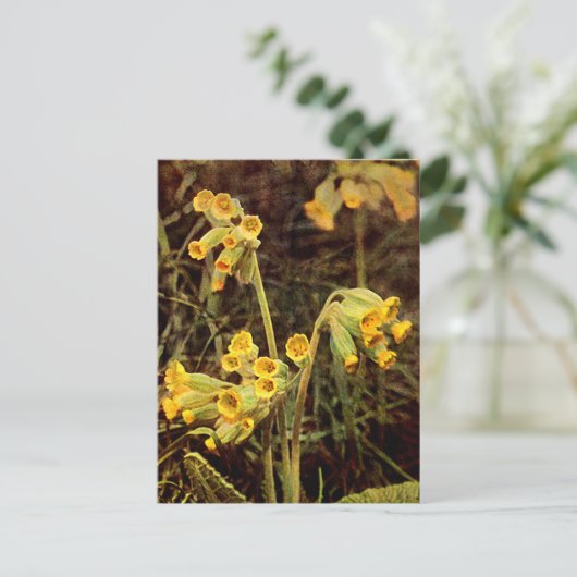 Wilde bloem: Cowslip Briefkaart (Staand voorkant)