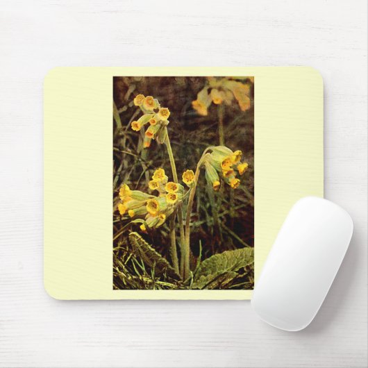 Wilde bloem: Cowslip Muismat (Met muis)