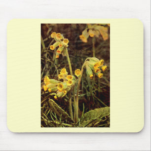 Wilde bloem: Cowslip Muismat