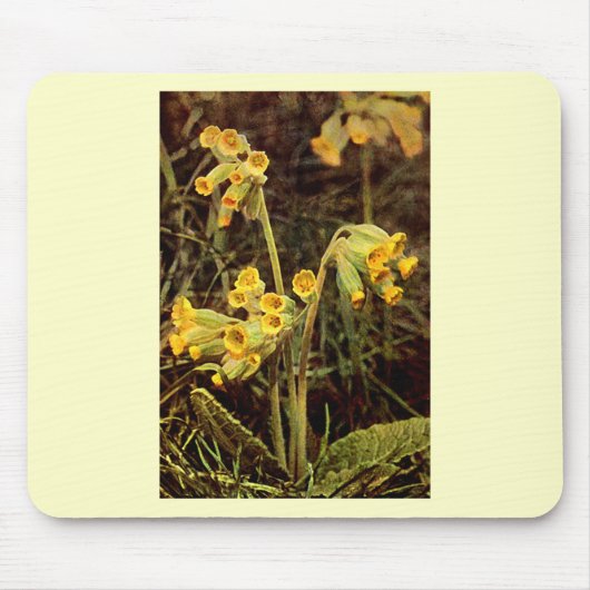 Wilde bloem: Cowslip Muismat (Voorkant)