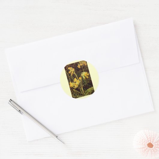 Wilde bloem: Cowslip Ronde Sticker (Envelop)