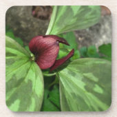 Wilde bloem drankjes onderzetter (Voorkant)