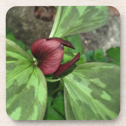 Wilde bloem drankjes onderzetter (Voorkant)