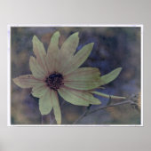 Wilde bloem en bijen poster (Voorkant)