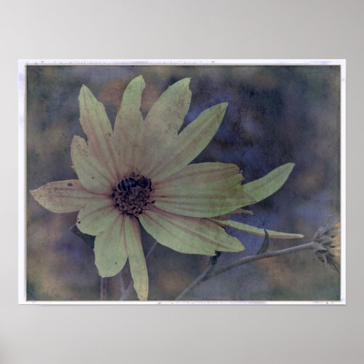 Wilde bloem en bijen poster (Voorkant)