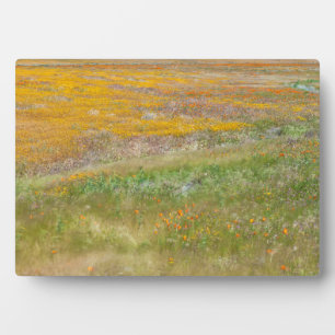 Wilde bloem fotoplaat
