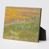 Wilde bloem fotoplaat (Zijkant)