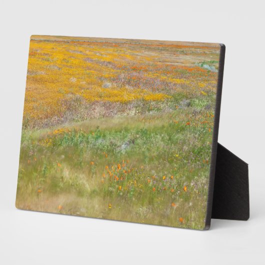 Wilde bloem fotoplaat (Zijkant)