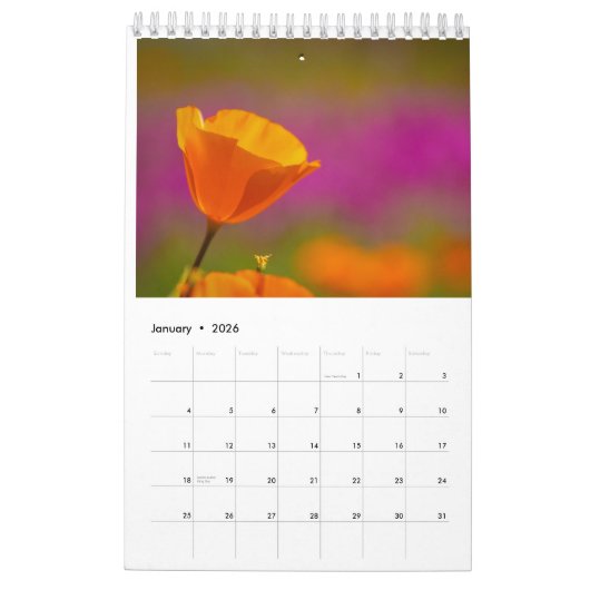 Wilde bloem kalender (Jan 2026)