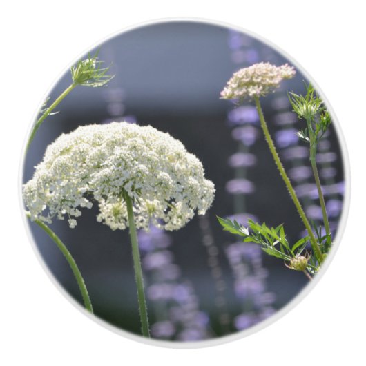 Wilde bloem Keramische Knob Knop (Voorkant)