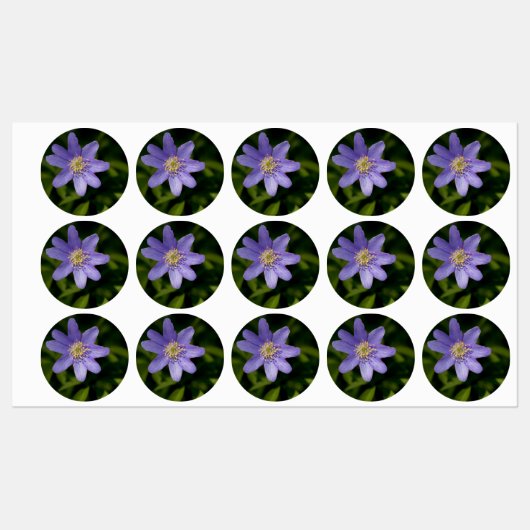 Wilde bloem labels (Vel)