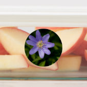 Wilde bloem labels (Aangebracht)
