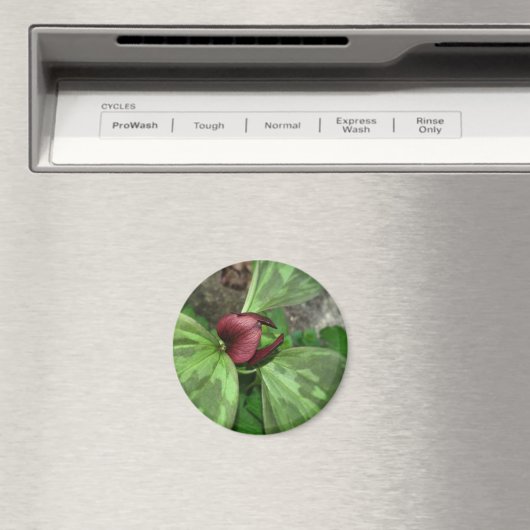 Wilde bloem magneet (Insitu (Vaatwasser))