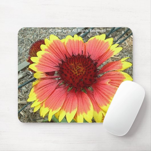 Wilde bloem muismat (Met muis)