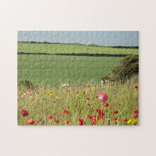 Wilde bloem op de wilde Atlantische weg Legpuzzel (Horizontaal)